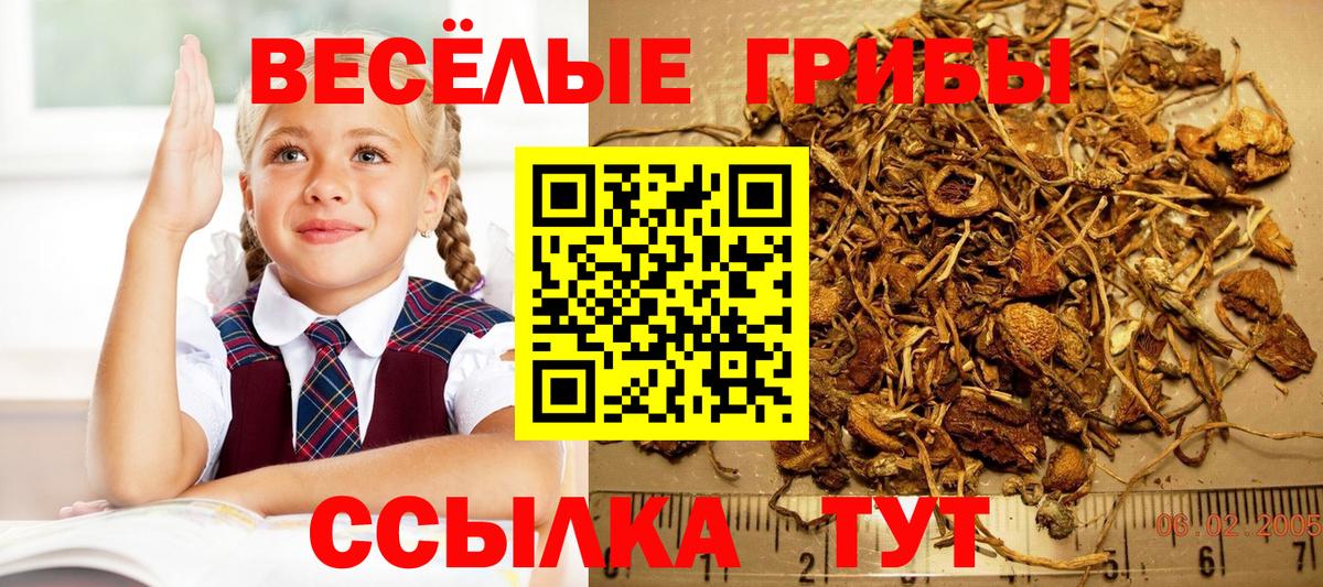 Галлюциногенные грибы Magic Shrooms  Вход с VPN  Майский 