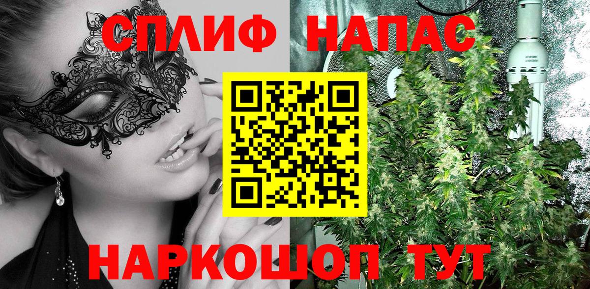 Шишки марихуана ГИДРОПОН Майский